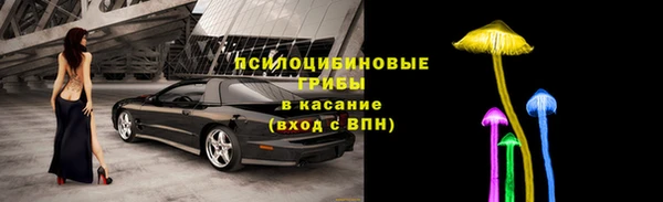 гидра Бугульма