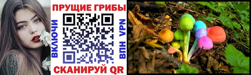 Купить  Наро-Фоминск  Псилоцибиновые грибы Magic Shrooms 